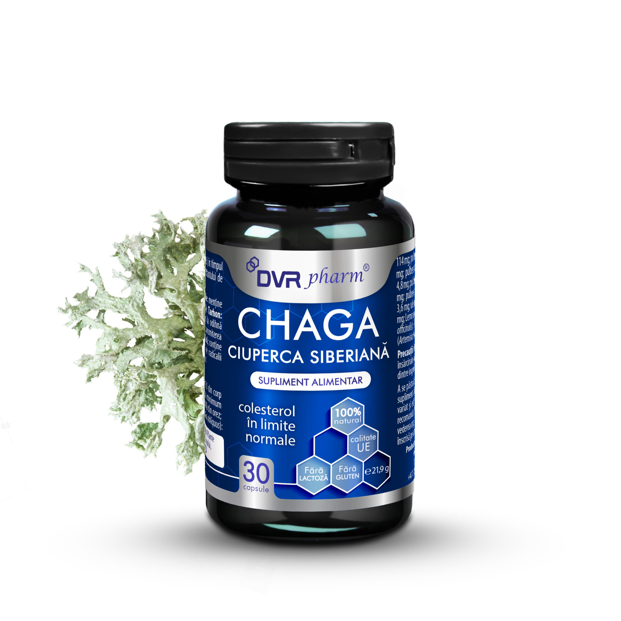 chaga ciuperca siberiana 30 cps