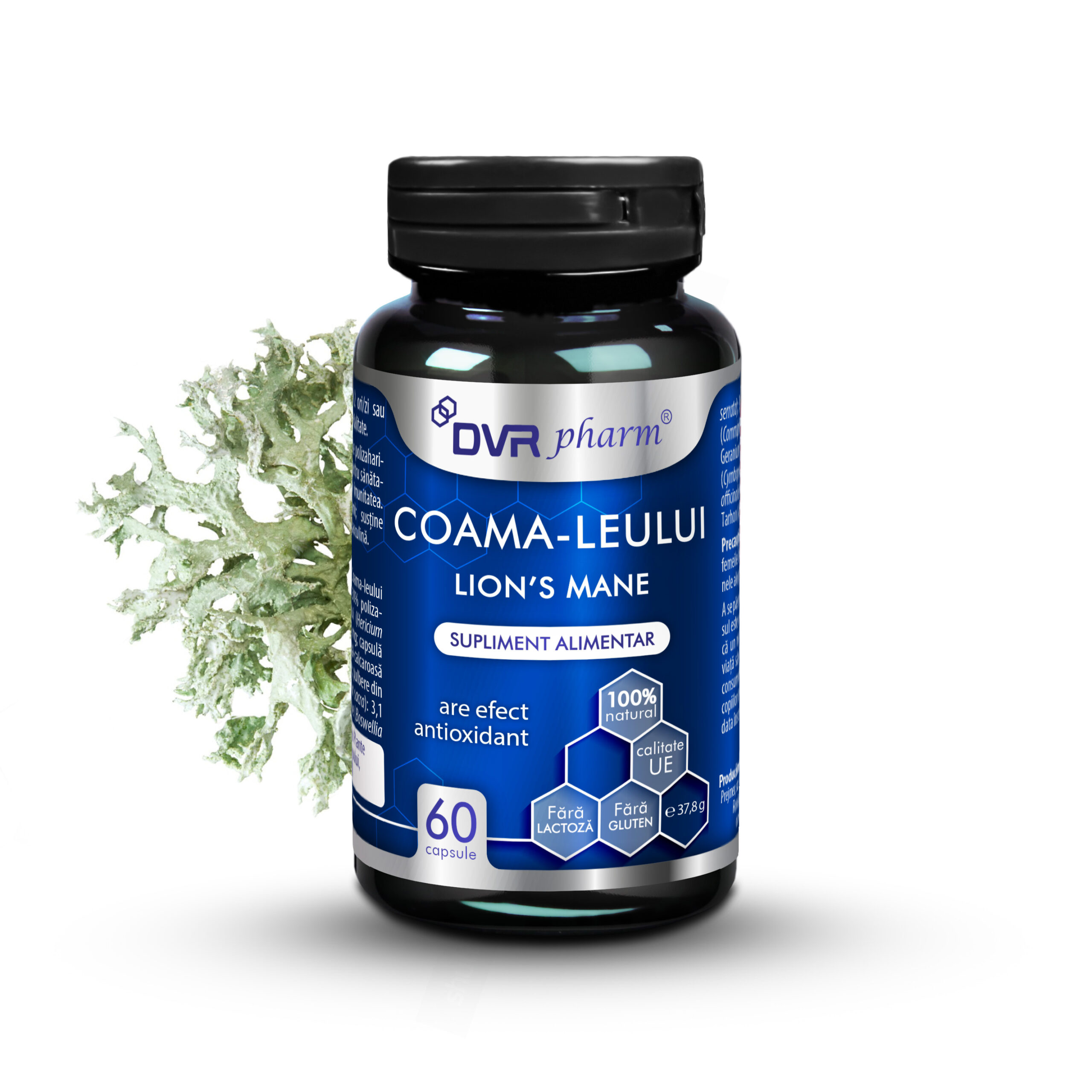 coama leului 60 cps