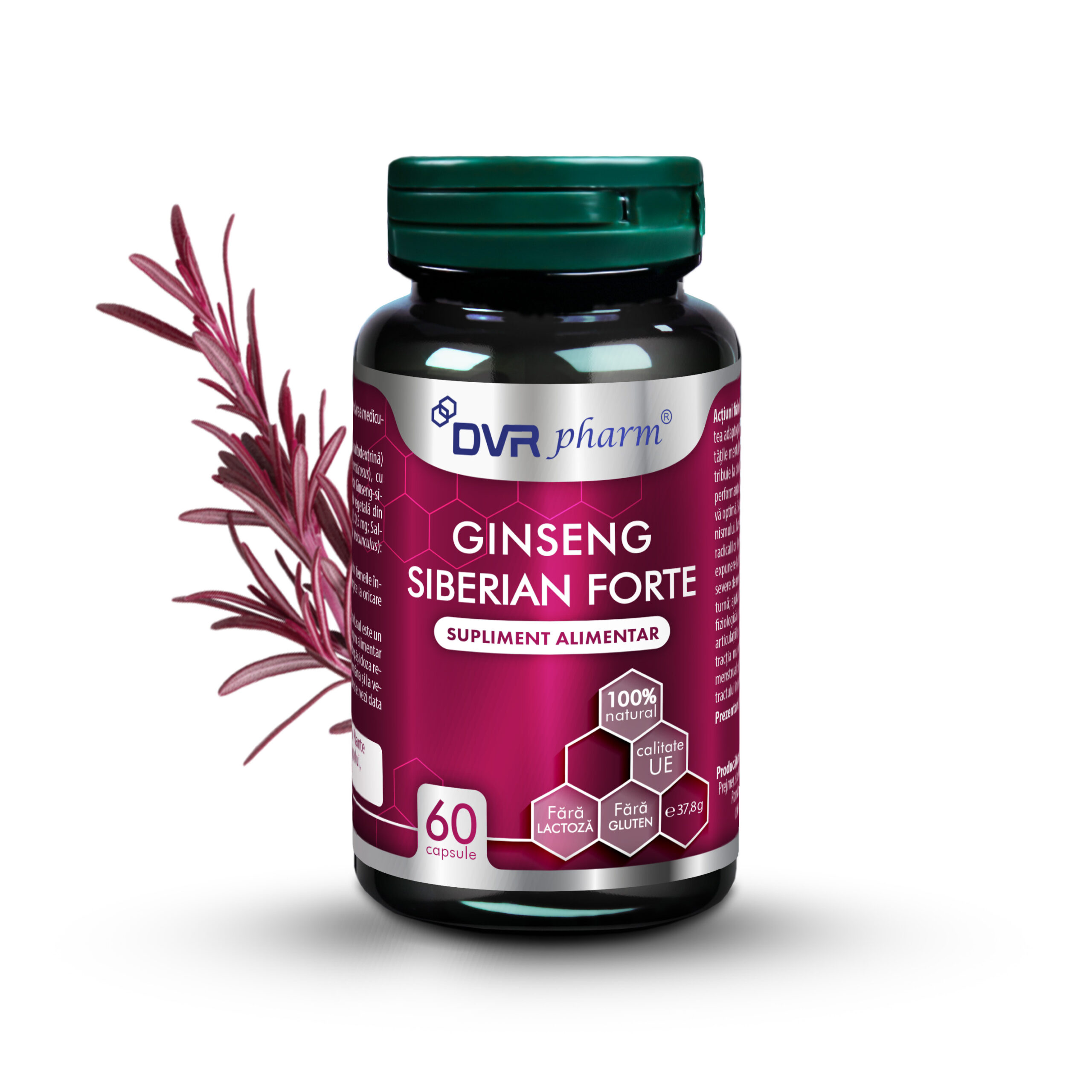 ginseng siberian forte 60 cps