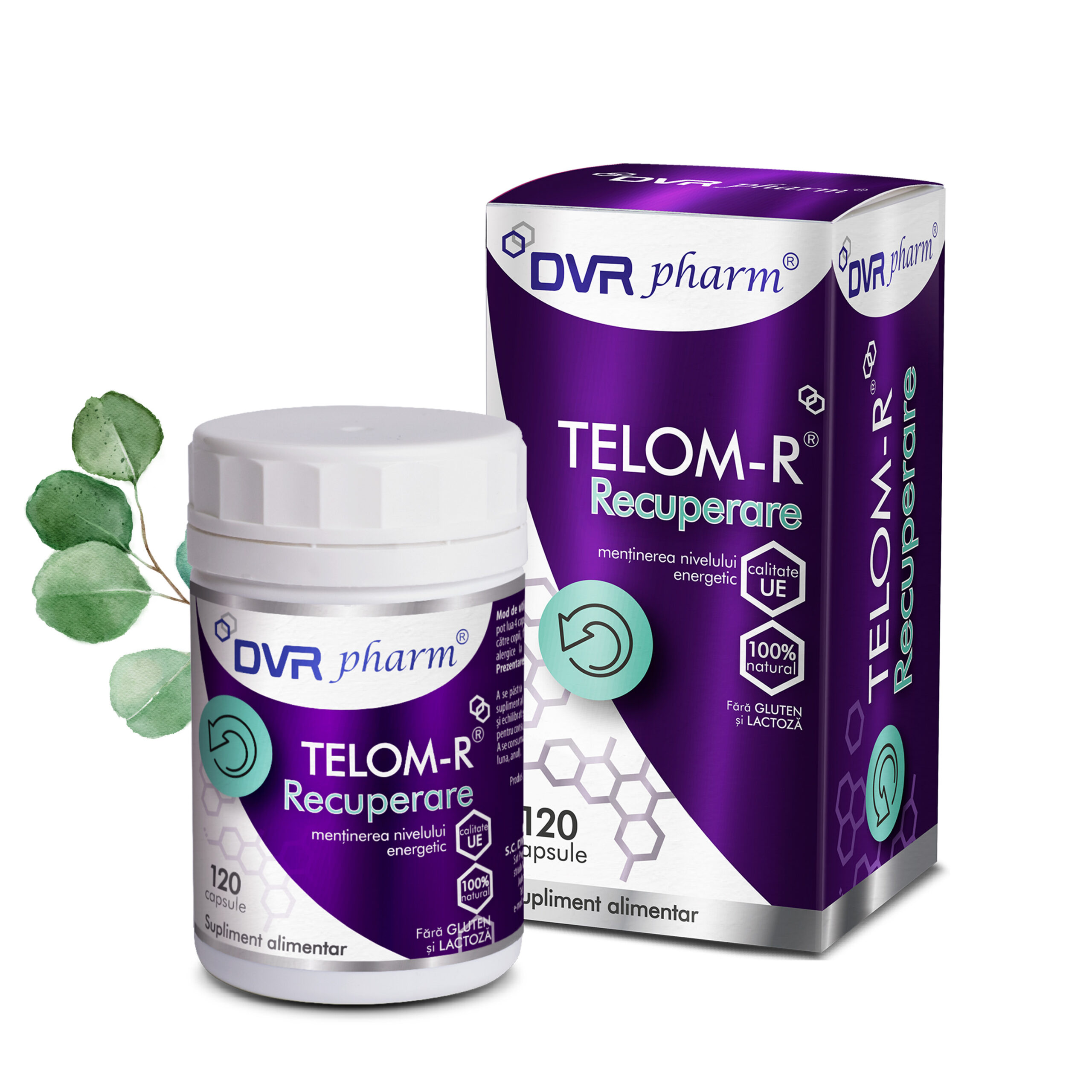 telomr recuperare
